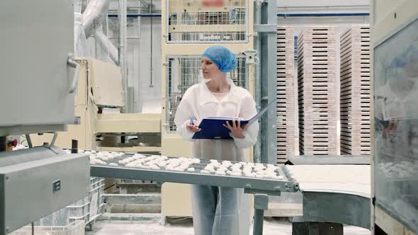 Controller Checking Conveyor with Candies