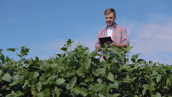 A Young Farmer Makes Notes in a Tablet About the Peculiarities of Soybean Growth in the Field