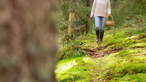 Woman with Mushrooms in Basket Walking in Forest