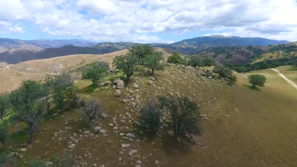 Flying Over California Green Mountains in Spring with Large Trees and Rocks