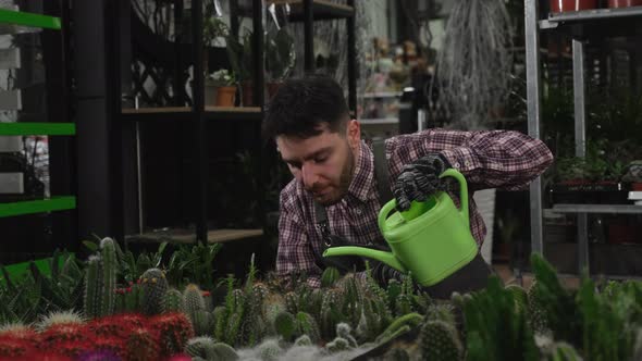 Man Watering a Lot of Cacti