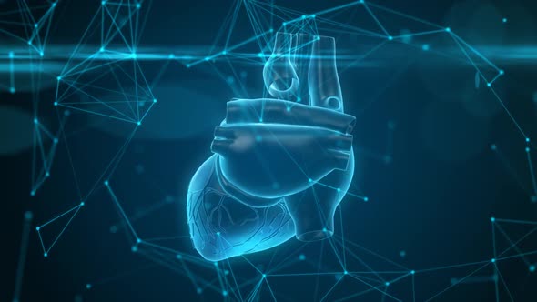 Virtual Humans Heart