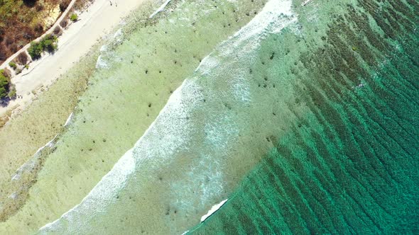 emerald sea texture of illuminated algae and coral reef