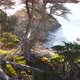 Ocean Waves Cypress Pine Tree Forest 17Mile Drive Monterey California Coast - VideoHive Item for Sale