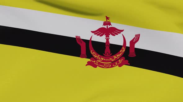 Flag Brunei Patriotism National Freedom Seamless Loop