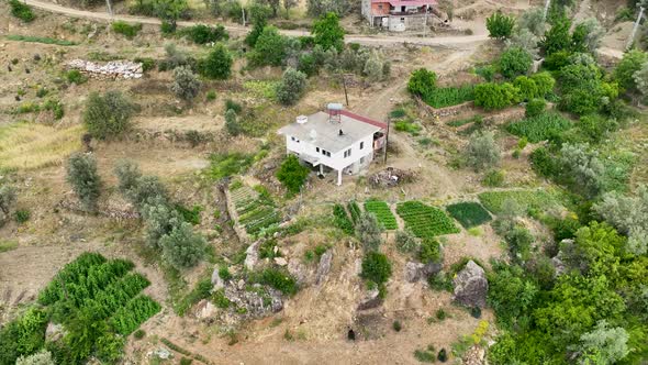 Farm Region Aerial View 4 K Alanya Turkey