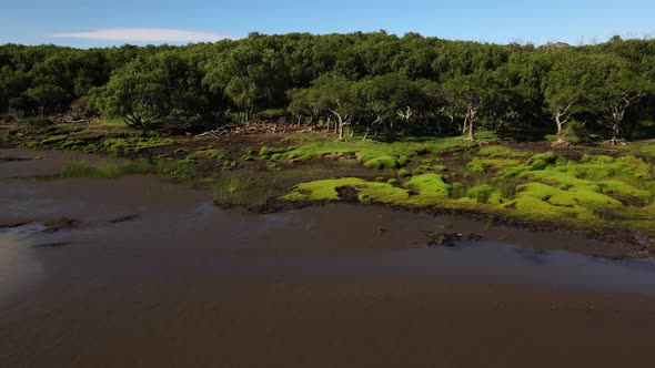 Aerial pan of sand banks and woodland by coast of Rio de la Plata