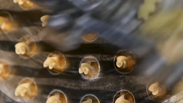 Professional Production of Spiral Pasta on Industrial Line