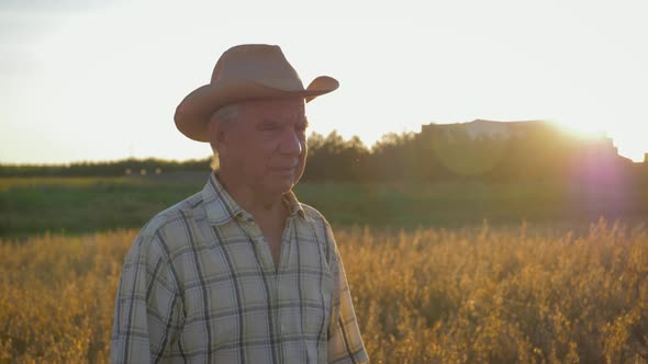 Old Caucasian Man Farmer In A Cowboy Hat Walk In A Field Of Wheat At Sunset