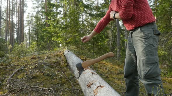 Lumberjack Chopping Wood In The Forest. Male Tourist Chopping Wood With An Axe.