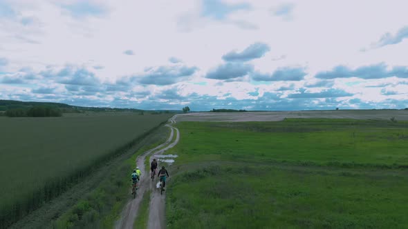 Group of cyclists riding in the middle of green wheat and crops field, aerial drone view.