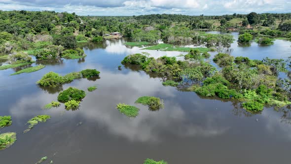 Stunning landscape of Amazon Forest at Amazonas State Brazil.