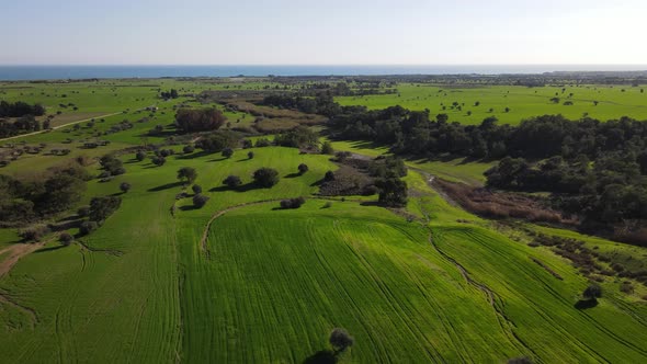 Day views of the mediterranean sea. Shooting from a drone. alt