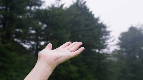 Close Up View on Female Hand Under Pouring Rain with Spruce Forest Ecology Shot