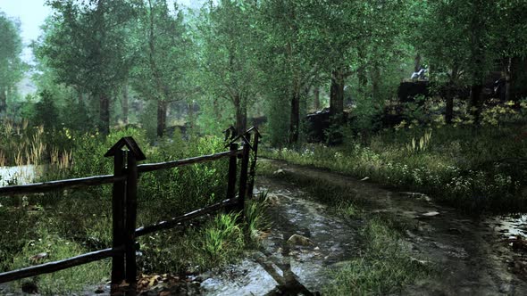 Old Wooden Fence and Hiking Path Through Forest