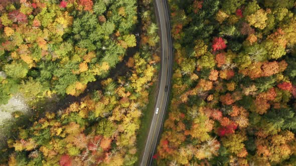 Aerial View of Curving Road in Mountain Forest on Sunny Vibrant Fall Day Drone