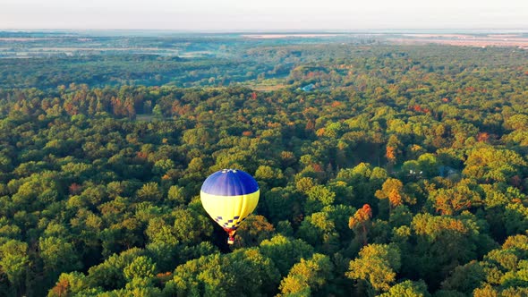 Beautiful sunbeams illuminate the balloons that fly over the park, green trees.