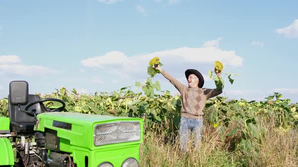 Village Worker is Happy and Dancing with Sunflowers in His Hands