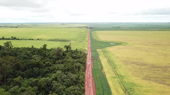 Aerial image shows road dividing soybean field and rainforest.