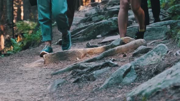 View of Legs of Group Tourists Climbing Up Along Stone Trail in Mountain Forest