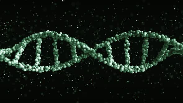 Green DNA Molecule Model alt