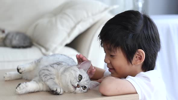 Cute Asian Child Playing With Persian Kitten Together