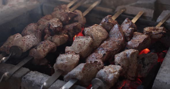 Fry Meat In Nature, Barbecue  