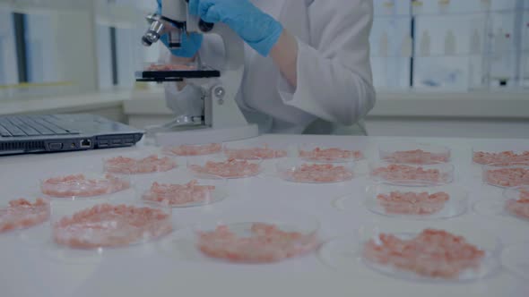 Closeup of an Unrecognizable Scientist with a Microscope in the Laboratory Cultured Meat in Petri