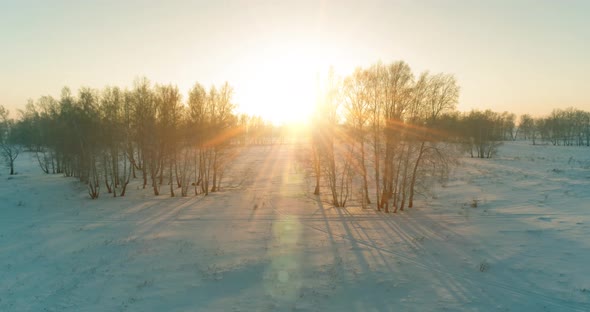 Aerial Drone View of Cold Winter Landscape with Arctic Field, Trees Covered with Frost Snow and