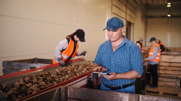 Potato Harvesting