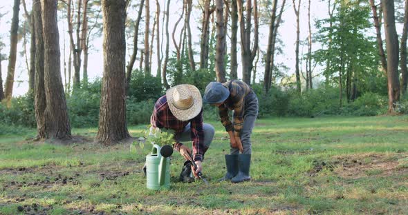 Grandfather and His 10-Aged Grandson Digging a Hole with Shovel in the Park to Put Seedling