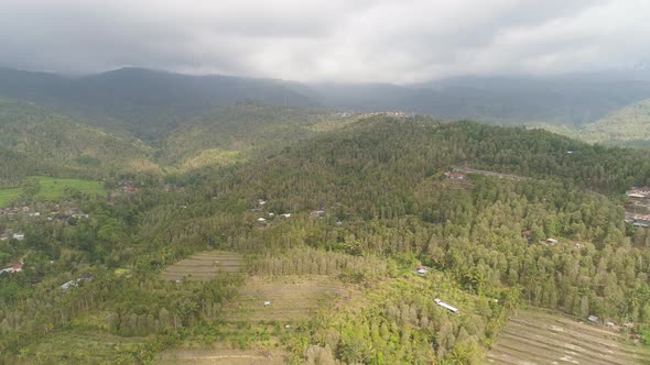 Tropical Landscape with Agricultural Land in Indonesia