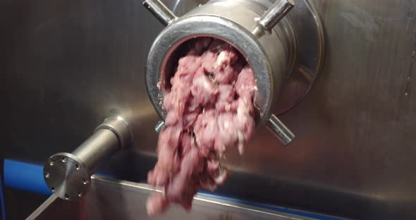 Large Pieces Of Minced Meat Come Out Of The Meat Grinder And Fall Into An Iron Container