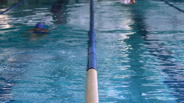 Swimmers training in a swimming pool