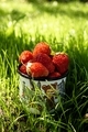 red strawberries - PhotoDune Item for Sale