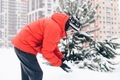 Winter season  - PhotoDune Item for Sale