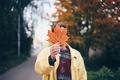Autumn season  - PhotoDune Item for Sale