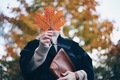 Autumn season  - PhotoDune Item for Sale