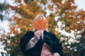 Autumn season  - PhotoDune Item for Sale