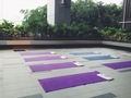 Yoga mats lined up at the rooftop - PhotoDune Item for Sale