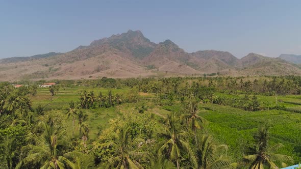 Agricultural Land in Indonesia