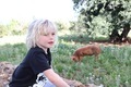 Boy looking at a pig in the countryside  - PhotoDune Item for Sale