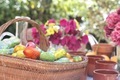 A wicker basket full of chocolate Easter eggs on a table in colourful nature - PhotoDune Item for Sale