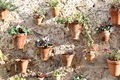 Rustic terracotta plant pots hanging on a wall - PhotoDune Item for Sale