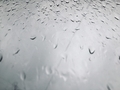 Rain drop  - PhotoDune Item for Sale