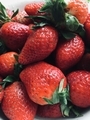 Strawberry - PhotoDune Item for Sale