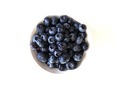 Blueberry  - PhotoDune Item for Sale