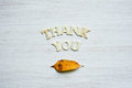 "Thank you" wooden letters on the white background. - PhotoDune Item for Sale