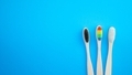 Black white and rainbow bamboo toothbrushes on blue background - PhotoDune Item for Sale