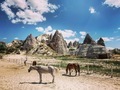 Horses in Cappadocia - PhotoDune Item for Sale